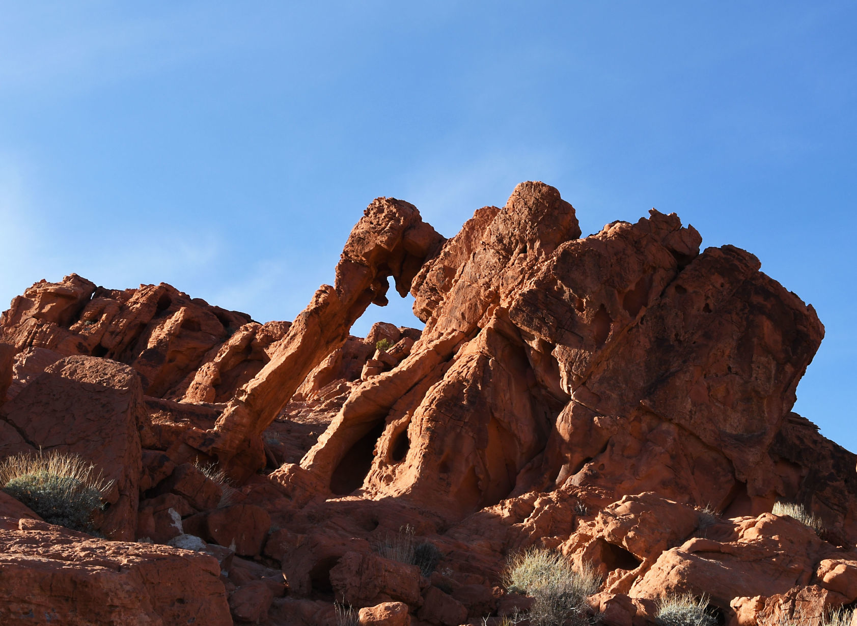 Elephant Rock